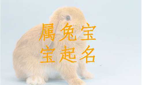 兔宝宝取名宇辉怎么样,象征,光明,第1张
