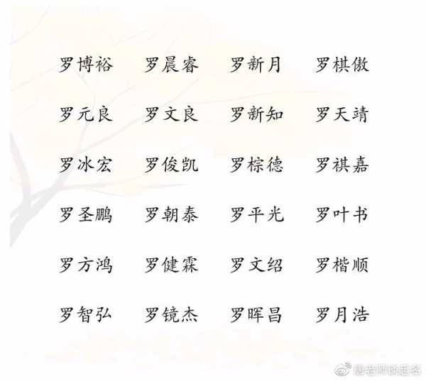 罗姓男女宝宝取名好听,命运,象征,光明,第1张