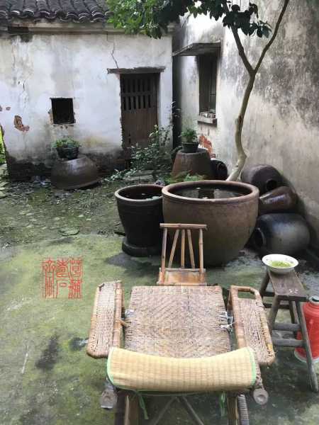 祖祠塘养鱼，传统与现代的和谐共存,传统与现代,第1张