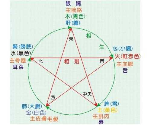 中的植物，五行属性与摆放智慧,象征,与和谐,发财树,第1张