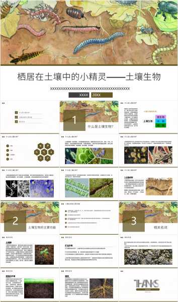 土壤中的精灵，泥土栽的竹叫什么,象征,第1张