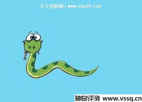 看见蛇回家，解读周公解的危险与转机,象征,事业,解梦,第1张