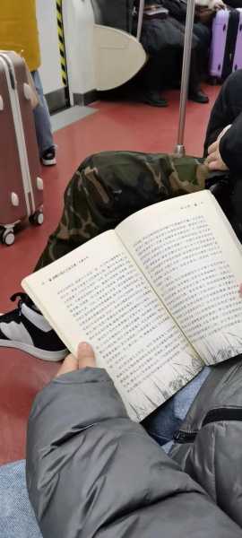 梦见养狼跑了，周公解的深层寓意解析,象征,解梦,周公解梦,第1张
