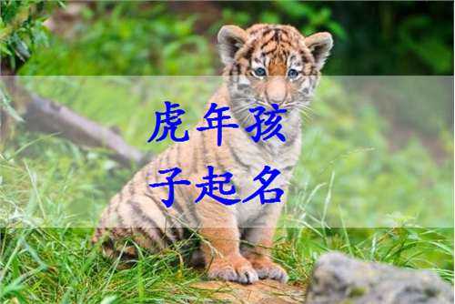 属虎宝宝姓邝取名指南，传统与现代搭配的艺术,象征,命运,传统与现代,第1张