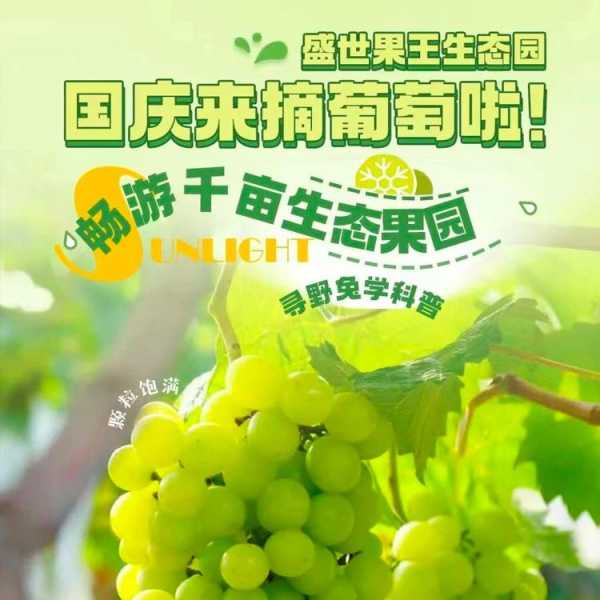 解梦摘葡萄，打什么码？,象征,解梦,合作,第1张