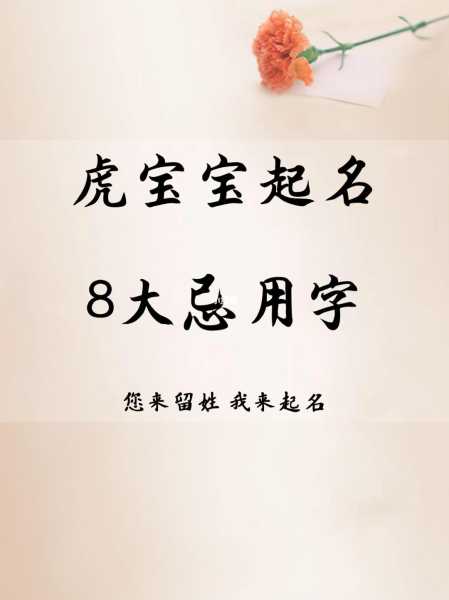 2010虎宝宝怎么取名，传统与现代结合的智慧,象征,文化传承,传统与现代,第1张