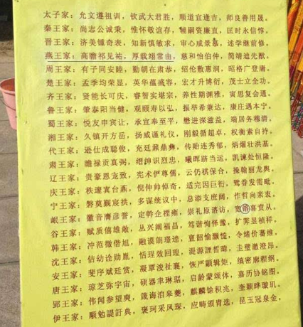 维字辈男宝宝取名技巧与寓意解析,象征,宝宝取名,第1张