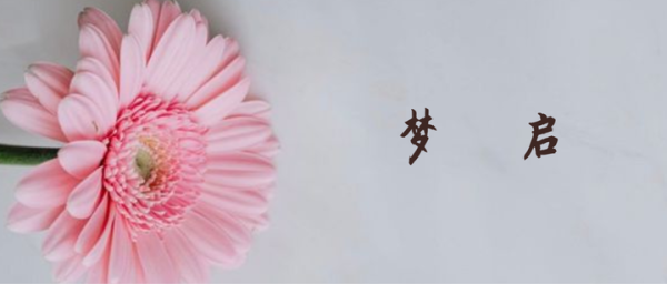 梦见很多饿虎，解读内心深处的渴望与,象征,解梦,周公解梦,第1张