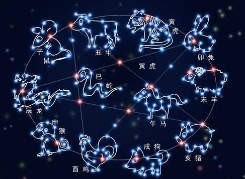 12月生肖运势分析,事业,挑战,合作,第1张