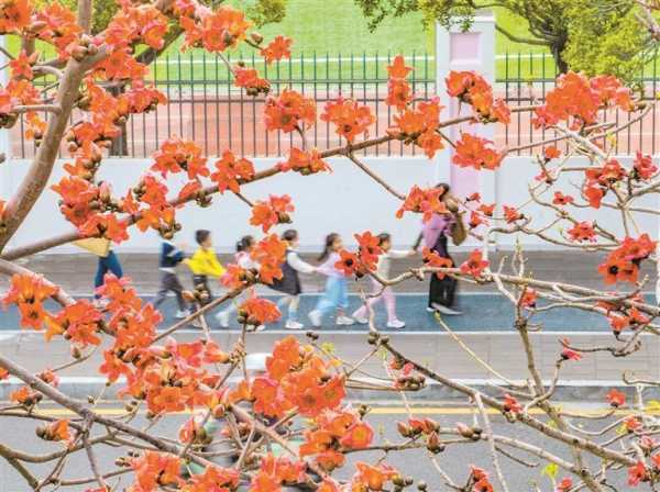 19年3月26日，一个值得铭记的日子,象征,吉时,挑战,第1张