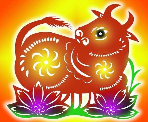 牛宝宝取名富什么，传统与现代的结合,象征,命运,传统与现代,第1张