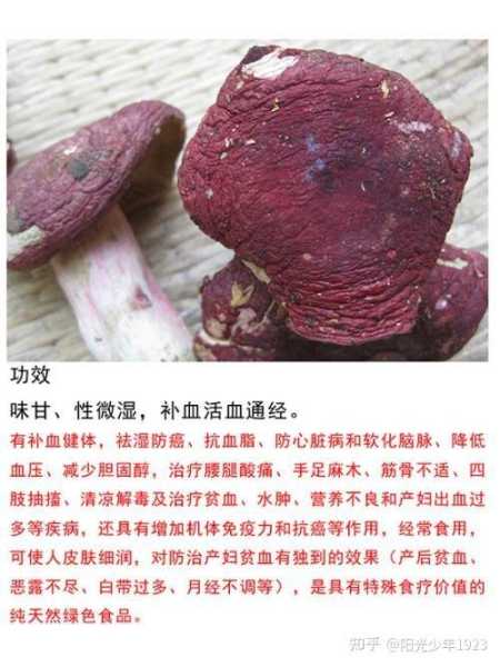 采红蘑，预兆与解梦的深层解析,象征,事业,解梦,第1张
