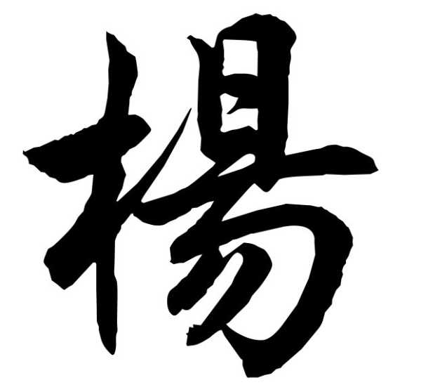 杨字女兔宝宝取名，传统与现代的融合之道,象征,事业,传统与现代,第1张