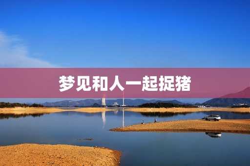 梦见抓鸡追狗，解读内心对不稳定与不切实际的追求,象征,挑战,解梦,第1张