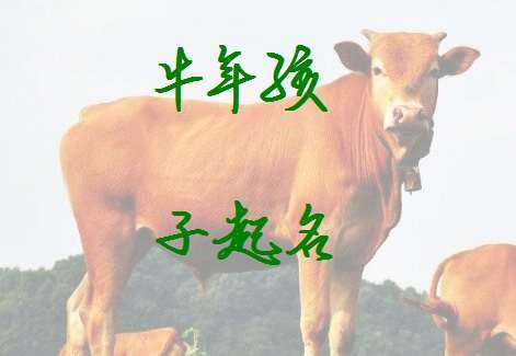 牛宝宝姓邱取名技巧，寓意深远的名字推荐,象征,文化传承,光明,第1张