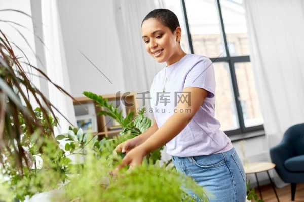 家养牡丹讲究,象征,文化传承,风水布局,第1张
