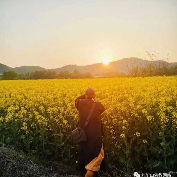 开福寺求签，智慧与退却的艺术,命运,挑战,第1张