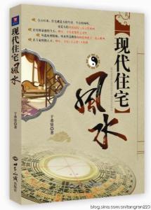 家门，传统与现代的融合,象征,传统与现代,光明,第1张