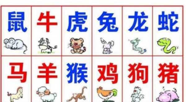 八字算命书又名什么,命运,事业,八字,第1张