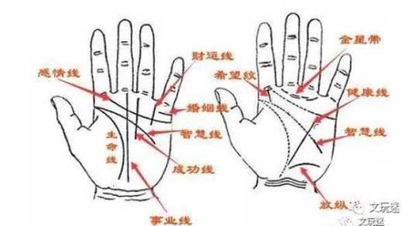 左手有痣，吉凶的神秘象征,象征,命运,能量,第1张