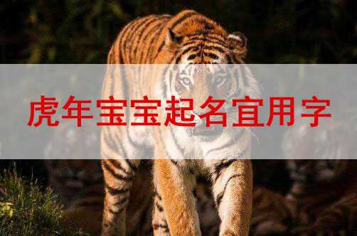 虎宝宝5月取名，让宝宝的名字充满生机与寓意,象征,宝宝取名,寓意吉祥,第1张