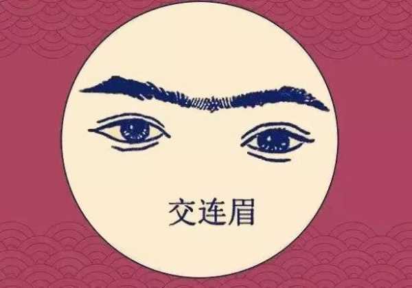 眉骨在算命中中的重要性解析,象征,命运,事业,第1张