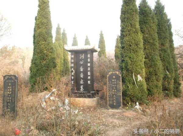 祖坟栽柏树讲究，哪种柏树最适合你的祖坟？,象征,第1张