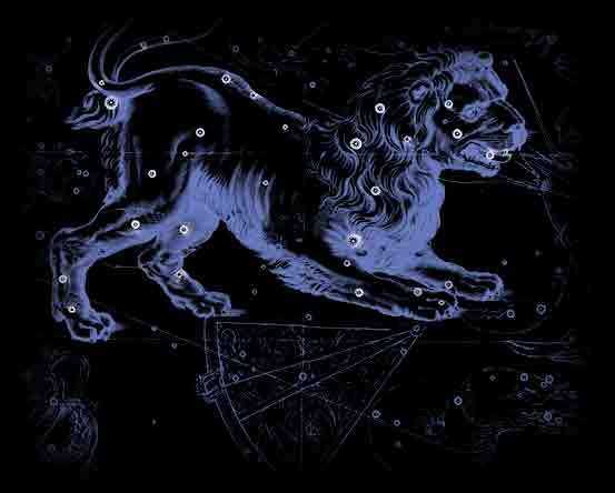 十二宫土狮子星座是什么,事业,健康状况,能量,第1张