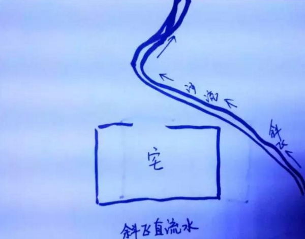 风雨兰，化解家中大忌的灵性植物,象征,事业,风水布局,第1张