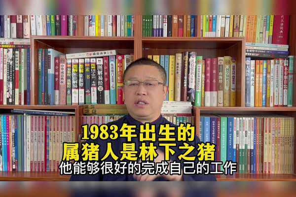 1981年生肖鸡运势解析，机遇与并存,象征,命运,事业,第1张