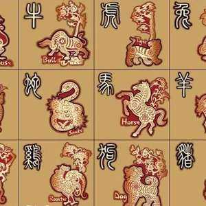 2017年生肖运势解析，事业与健康的新机遇,事业,挑战,健康状况,第1张