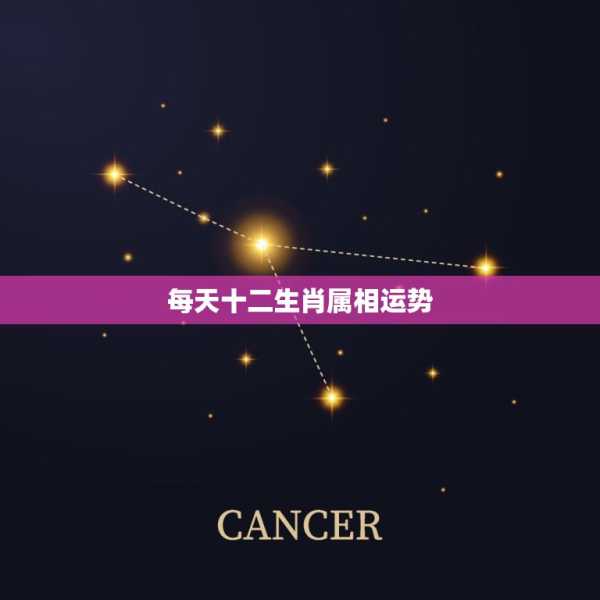 十二生肖3月4日运势解析，事业与健康 focus on your future,事业,挑战,第1张