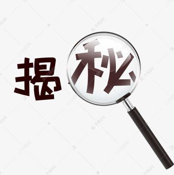 揭秘乌龟算命的书名，解析与背景,象征,算命,第1张