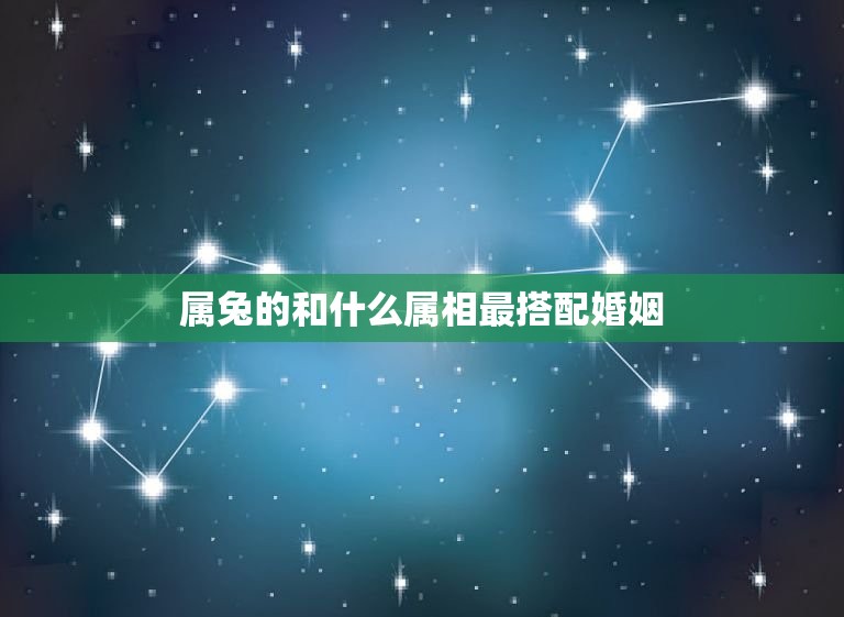 属兔姓名吉凶，如何选择一个适合自己的名字？,象征,命运,事业,第1张