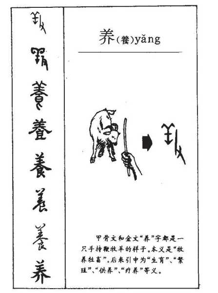 养鱼八字经测算，开启水生的艺术与智慧,事业,八字,第1张