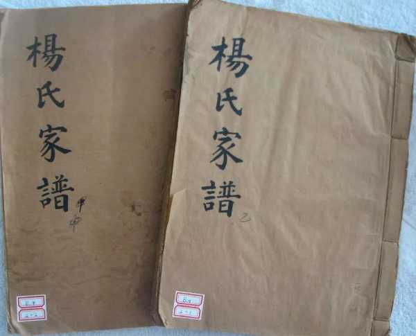 杨姓宝宝取名指南，传统与现代的结合,象征,事业,传统与现代,第1张