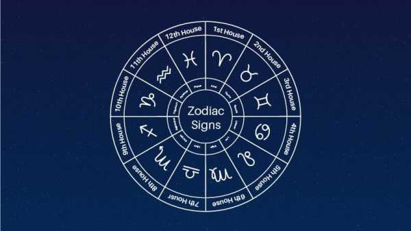 十二星座在宫位中的分布与特点解析,象征,事业,十二星座,第1张