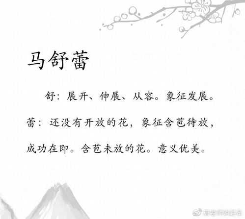 姓牛宝宝取名，传承与创新的智慧,象征,宝宝取名,第1张