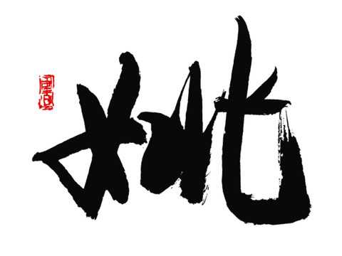 姚姓男孩取名技巧，文化与现代的结合,象征,光明,第1张