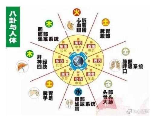 角几摆放的，选择与布局的讲究,象征,与和谐,风水布局,第1张