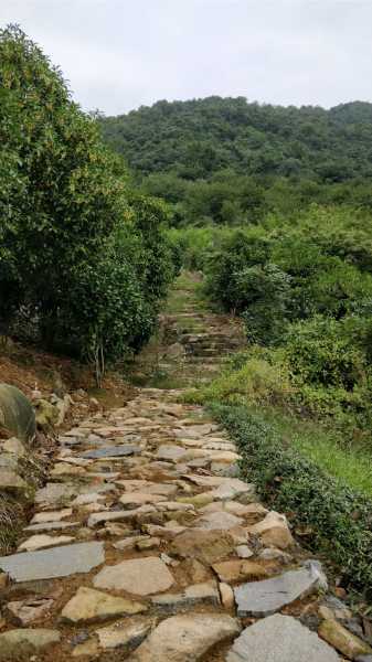 岳麓山道观求签灵，一段道家文化的传承之旅,命运,文化传承,求签,第1张
