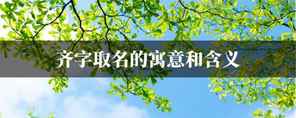 齐和李，宝宝取名的智慧与艺术,象征,合作,文化传承,第1张