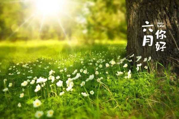 运势查询吉时，如何找到最适合自己的生活节奏,象征,命运,挑战,第1张