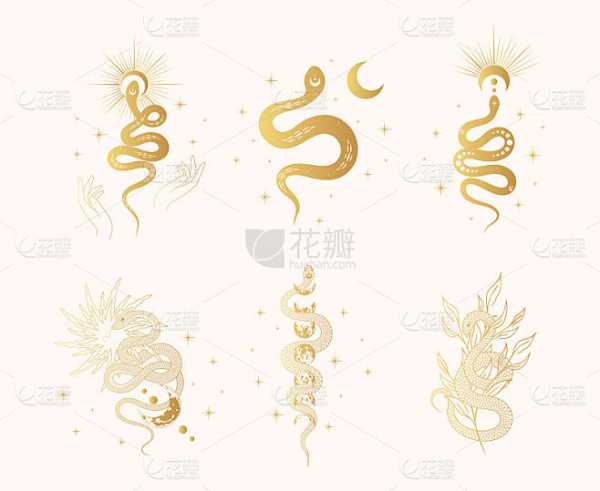 曼谷算命阿婆，神秘与智慧的结合,象征,命运,事业,第1张
