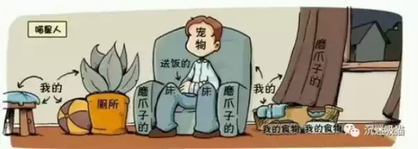 家养猫狗的讲究，surprising的猫狗与家庭和谐,象征,与和谐,气场,第1张