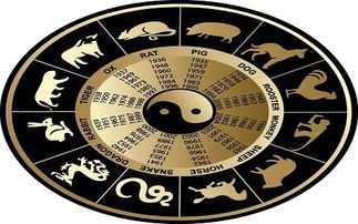 鼠牛同框，今年生肖鼠与生肖牛的运势解析,象征,命运,事业,第1张