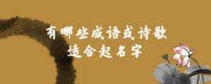 虎宝宝取名，苏姓宝宝起名指南,象征,文化传承,宝宝取名,第1张