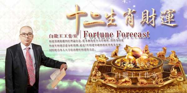 今日最财运生肖运势解析，生肖与财富的神秘联,象征,合作,财运,第1张