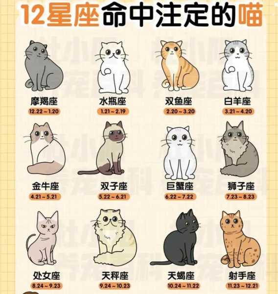 十二星座，什么星座都配？,命运,十二星座,星座,第1张
