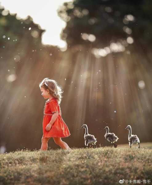 辛丑日吉时在丁酉时吗,八字,吉时,第1张